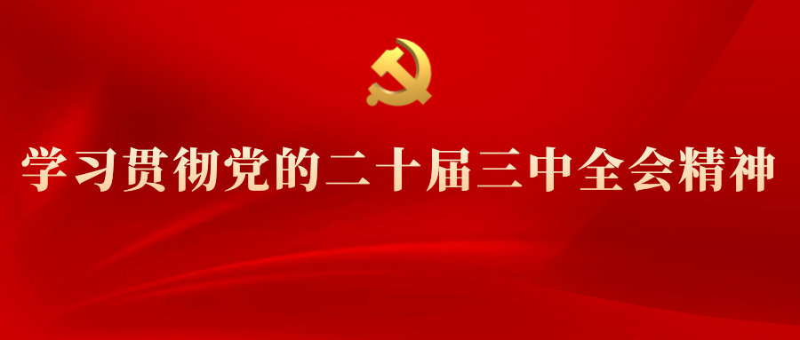 學習專欄 | 黨的二十屆三中全會精神解讀（十一）